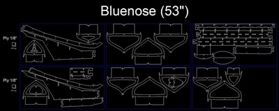 Bluenose  (53")