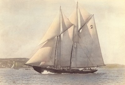 Picture of Bluenose (53")
