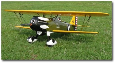 Picture of Curtiss P-6E Hawk Semi-Kit (Scale 1/4)