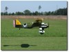 Curtiss Hawk (1/4 scale)