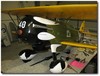Curtiss Hawk (Scale 1/4)