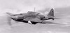 IL-2 Stormovik (114")