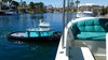 Shelly Foss Tug Boat (74")